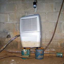 A dehumidifier in a Elm Grove wet crawl space