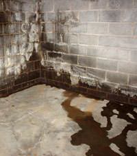 Water seeping through a concrete wall in a Marinette basement