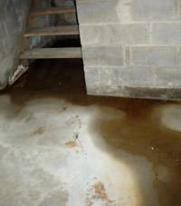Flooding floor cracks by a hatchway door in Wausau, Manitowoc, Neenah, Stevens Point, Wisconsin Rapids, De Pere, Marshfield, Menasha, Kaukauna, Rhinelander, West Bend, Merrill, Sturgeon Bay, Shawano