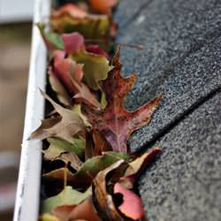 Clogged gutters filled with fall leaves  in Antigo