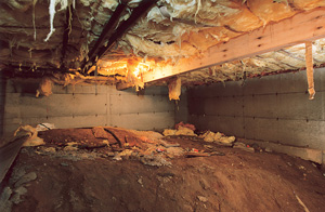 Before view of dirt Crawl Space in Green Bay Before view of dirt Crawl Space in Green Bay