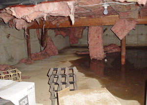 fiberglass insulation dripping off the ceiling of a crawl space in De Pere.