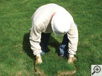 Restoring the landscaping by replacing removed sod on the ground for a Wisconsin Rapids home.