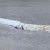 Slab floor cracks showing in a Waupaca home